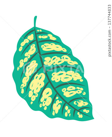 Leaf With Spot Pattern Botanical 137744833