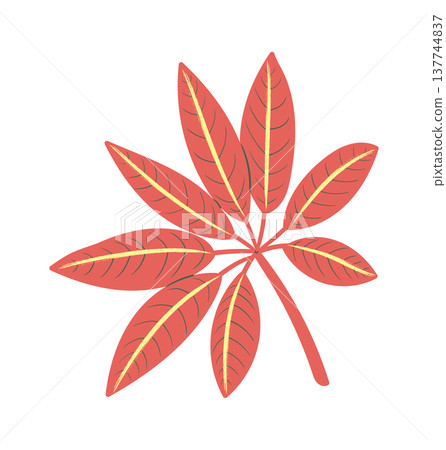 Leaf Cluster Botanical Emblem Leaf Cluster Botanical Emblem 137744837
