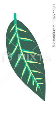 Leaf Botanic Icon Clean Leaf Botanic Icon Clean 137744875