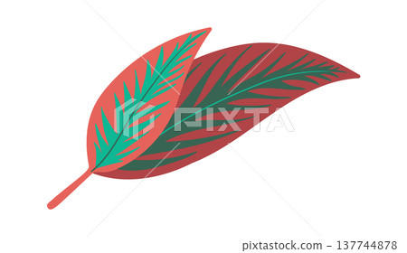 Leaf Pair Overlap Botanical Leaf Pair Overlap Botanical 137744878