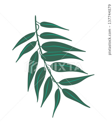Leaf Branch Botanical Linework Leaf Branch Botanical Linework 137744879