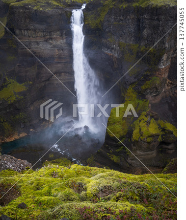 Vertical shot of wonderful high waterfall falling from mossy rocks, Iceland Vertical shot of wonderful high waterfall falling from mossy rocks, Iceland 137745055