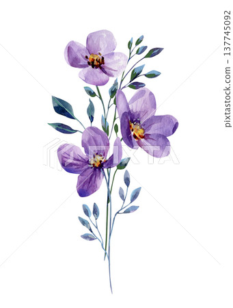 Purple flower watercolor clipart with delicate violet blossoms and blue leaves isolated Purple flower watercolor clipart with delicate violet blossoms and blue leaves isolated 137745092