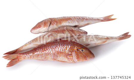 Red mullet 137745324