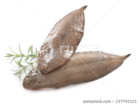 two sole fishes two sole fishes 137745325