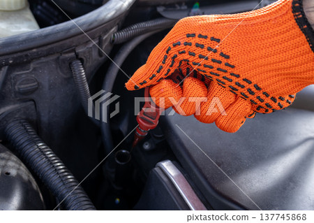 A hand clad in an orange glove carefully checks the oil level in a car engine, showcasing attention to mechanical details A hand clad in an orange glove carefully checks the oil level in a car engine, showcasing attention to mechanical details 137745868