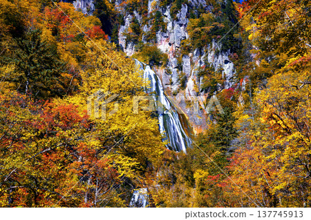Hagoromo Falls 137745913