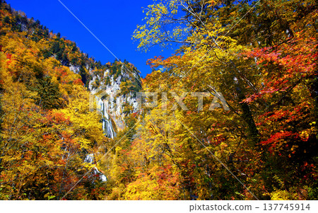 Hagoromo Falls 137745914