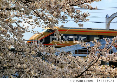 沿隅田川賞櫻…東武特急列車[Spacia] 100系 137745923