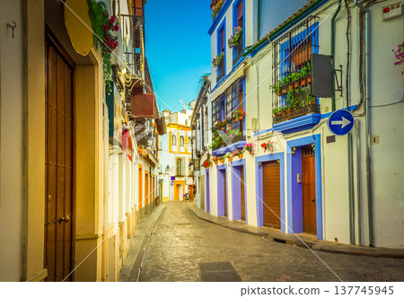 old town at night Cordoba, Spain old town at night Cordoba, Spain 137745945