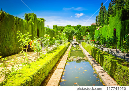 Generalife palace and garden, Granada, Spain Generalife palace and garden, Granada, Spain 137745950