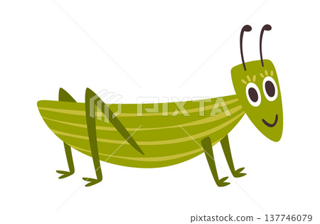 Funny green grasshopper smiling character Funny green grasshopper smiling character 137746079