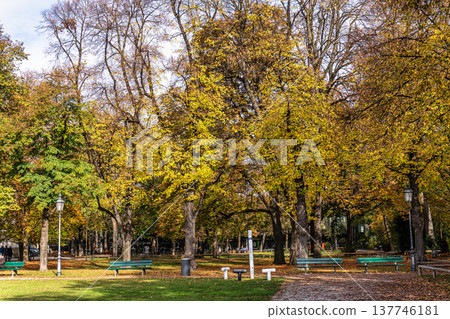 Golden autumn view at Konigsplatz - Kings Square, state capital Munich, Bavaria, Munich, Germany 137746181