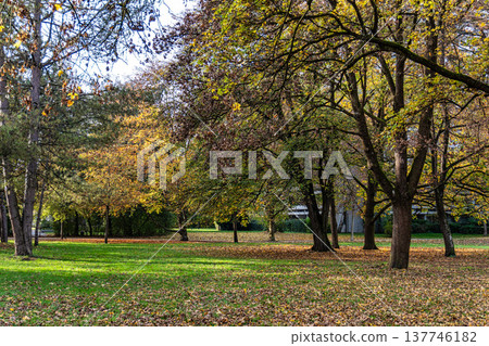 Autumn view of the Luitpold park near Olympic Park in Munich, Bavaria, Germany Autumn view of the Luitpold park near Olympic Park in Munich, Bavaria, Germany 137746182