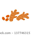 Illustration of Turmeric Root and Slices 137746315