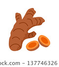 turmeric root, turmeric whole root and slice 137746326