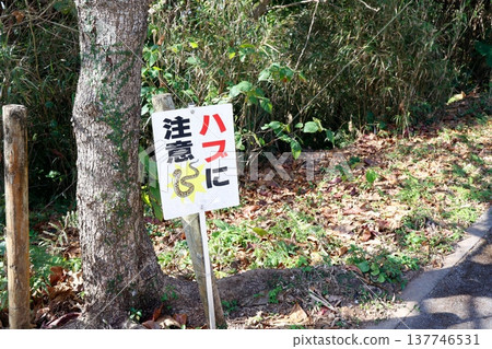 A warning sign about venomous snakes (habu) placed in the forest. [Copy space provided.] 137746531