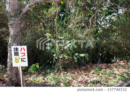 A warning sign about venomous snakes (habu) placed in the forest. [Copy space provided.] 137746532