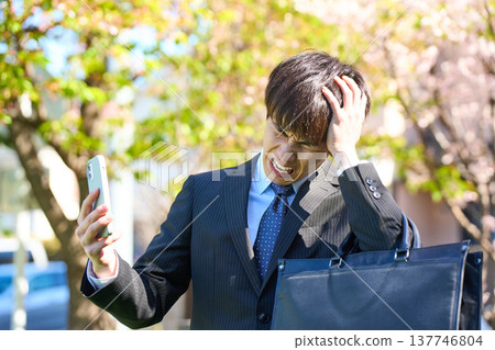 A young businessman, looking dejected and holding his head in his hands while looking at his smartphone, in a park with cherry blossoms in bloom. (Upper body) 137746804