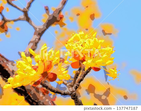 春金花（afr20260227132700） 137747187