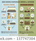 gardening Infographic: A Comparison of Indoor vs. Outdoor Seed Sowing Methods. Pros and cons for starting plants. 137747304