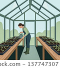 A woman in overalls waters young plant seedlings inside a glass greenhouse. illustration captures the peaceful process of nurturing new life and growing your own food.. Vector illustration 137747307