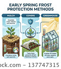 educational illustration explaining three key methods to protect plants from frost in early spring. how mulch, covers, greenhouses help insulate and trap heat ensure plant survival during cold snaps. 137747315
