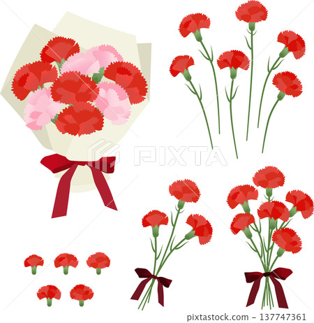 Mother's Day Red Carnation Bouquet Vector Illustration Set 137747361