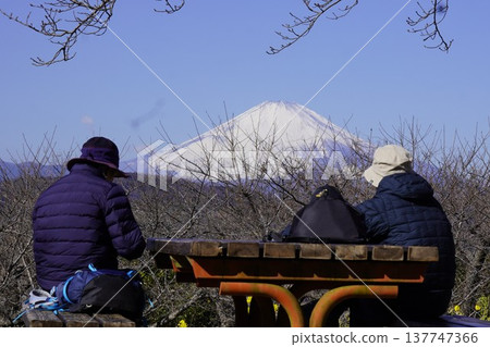 Two people gazing at snow-capped Mount Fuji from Mount Azuma. 137747366