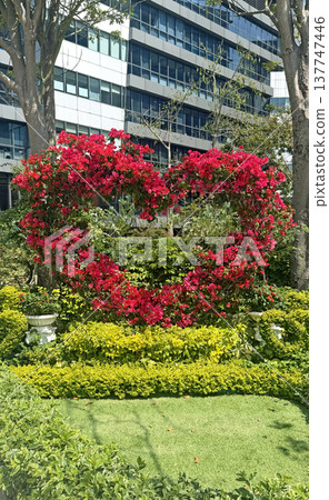 Vibrant heart shaped bougainvillea archway adorned with bright red flowers in a lush garden setting 137747446