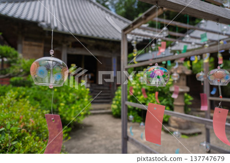 京都府綾部市東光院風鈴的照片 京都府綾部市東光院風鈴的照片 137747679