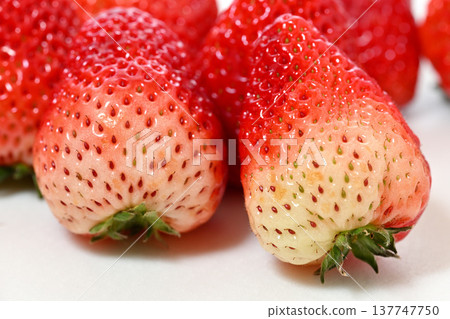 Strawberries (Tochigi Prefecture-grown Tochiaika variety) 137747750
