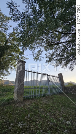 Rustic Iron Gate Framed by Lush Greenery and Mountains Rustic Iron Gate Framed by Lush Greenery and Mountains 137747805