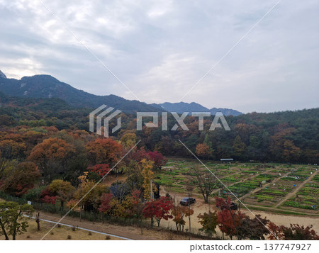 autumn, garden, landscape 137747927