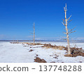 Todowara in winter 137748288