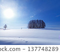 Mild Seven Hill (2nd generation) 137748289