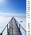A pier leading to the sea of ice 137748294