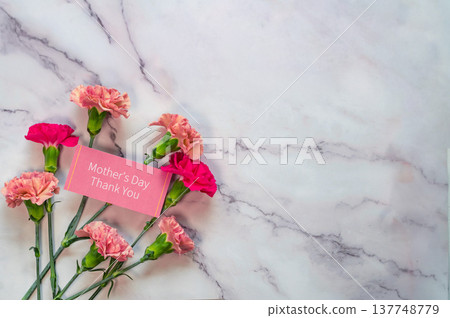  Carnation on Mother's Day 137748779