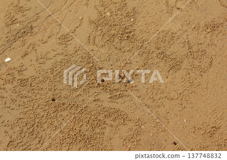 It's a beach with sand balls made by crabs. It's a beach with sand balls made by crabs. 137748832