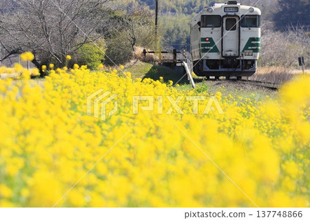 小湊鐵道:“一列火車抵達和總川間站,周圍盛開著油菜花。” 小湊鐵道:“一列火車抵達和總川間站,周圍盛開著油菜花。” 137748866