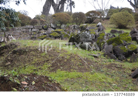主城的倒塌石牆（小田原城、南久和（高部屋久和）/神奈川縣小田原市） 137748889