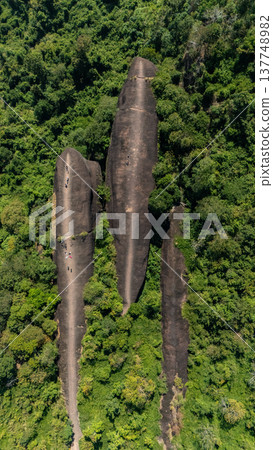 High angle view of an iconic Three Whales Rock in Thai called Hin Sam Wan a 75-million-year-old rock formation protruding out of a mountain in Phou Sing, Bueng Kan Province, Thailand. High angle view of an iconic Three Whales Rock in Thai called Hin Sam Wan a 75-million-year-old rock formation protruding out of a mountain in Phou Sing, Bueng Kan Province, Thailand. 137748982