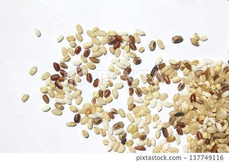 These are grains of mixed grain. These are grains of mixed grain. 137749116