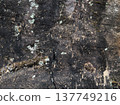 岩石表面 137749216
