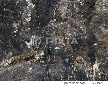 岩石表面 137749216