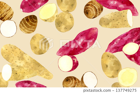Various potato backgrounds - hand-drawn watercolor illustrations of vegetables 137749275