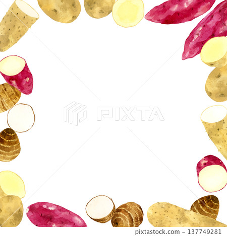 Various sweet potato frames - Hand-drawn watercolor illustrations of vegetables - background material 137749281