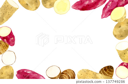 Various sweet potato frames - Hand-drawn watercolor illustrations of vegetables - background material Various sweet potato frames - Hand-drawn watercolor illustrations of vegetables - background material 137749286