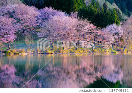 Yoh Yamazakura of Lake Nakanishi Yoh Yamazakura of Lake Nakanishi 137749511