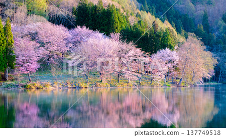 Yoh Yamazakura of Lake Nakanishi 137749518